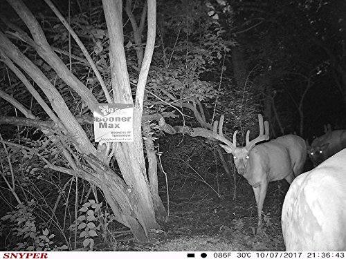 Horny Buck Seed Co. Booner Max Mineral Deer Attractant (10 Pounds) - Thumbnail 6