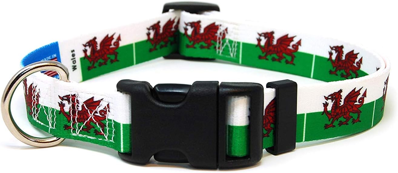 Wales Dog Collar | Wales Flag | Martingale Slip-On | Made in NJ, USA | for Extra Large Dogs | 1 inch Wide