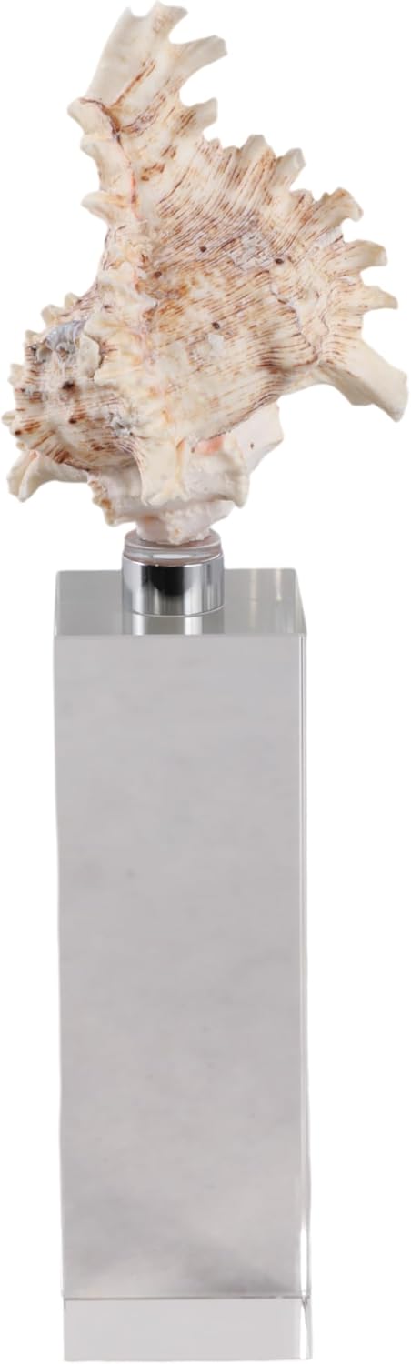 Decorative Shell Sculpture on Crystal Base for Home Decor Figurine - Perfect Accent for Bathroom, Office, or Living Room - Unique Ornaments and Statues for Shelf or Coffee Table - 10", Clear & White