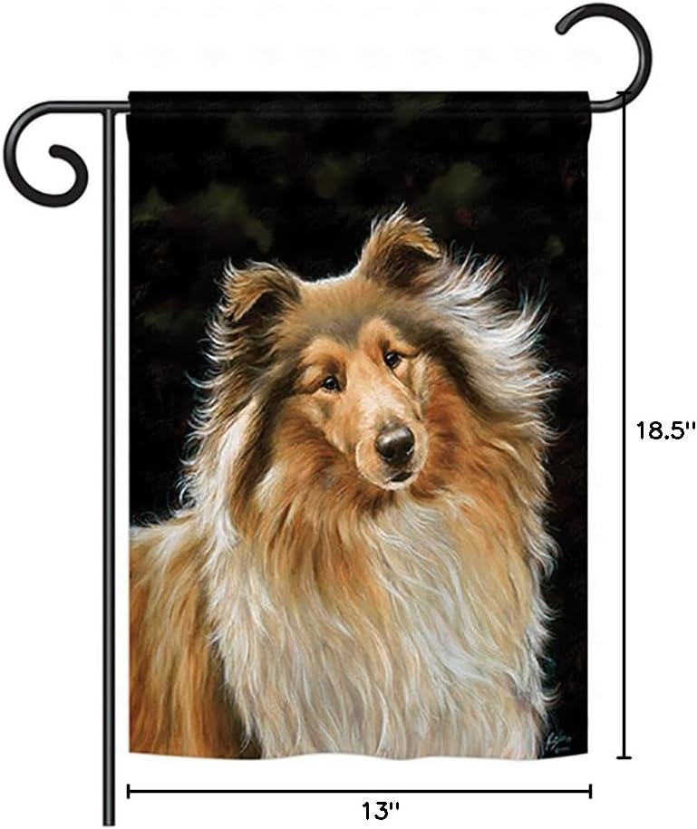 Breeze Decor PT-G-110075-IP Collie Nature Everyday Pets Impressions Decorative Vertical Garden Flag, 13"x 18.5", Multicolor