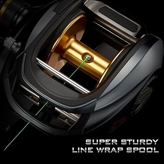 Piscifun Alijoz Baitcaster Fishing Reel, 300 Size Aluminum Frame Baitcasting Reel, 33Lbs Max Drag, Freshwater & Saltwater Low Profile Casting Reel for Musky, Available in 5.9:1/6.6:1/8.1:1 Gear Ratio