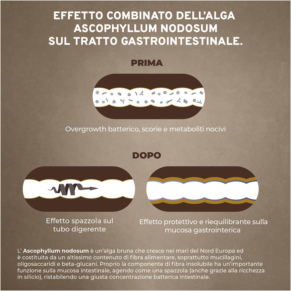 FORZA10 Dog Active Intestinal Colon FASE 2 | Agnello e Sorgo | Alimento Dietetico per Sensibilità Intestinale | Cibo Secco per Cani | Sacco da 10 Kg