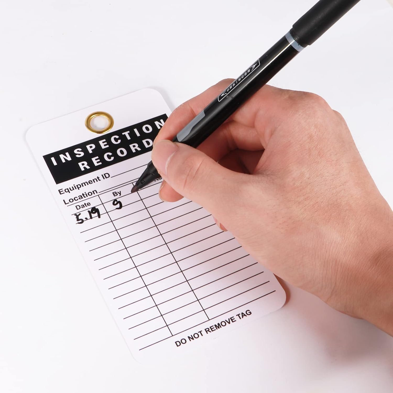 Lionshop Etiqueta de registro de inspección, material duradero de 30 mil UV/papel con bridas de cremallera para andamios, escaleras, extintor, maquinaria, peligros, inventario, fuera de servicio, 5.75