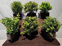 Review Image by Chris Montanari Chris Montanari