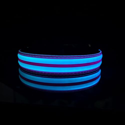 Miniatura 69 de Collar LED para perro, 15 modos de luz, USB-C recargable, silicona ajustable, varios colores (negro, M (11.8-15.7 pulgadas)