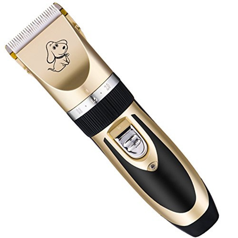 BaoRun Tondeuse professionnelle en céramique pour animaux de compagnie avec accessoires Rechargeable Tondeuse pour poils d'animaux domestiques Tondeuse électrique pour chiens, chats Or