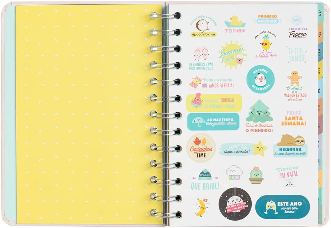 Mr. Wonderful - Small Classic Yearly Diary 2023 Weekly - One Thousand and um Planos, Pink, WOA2212300PTZ0 (Portuguese)