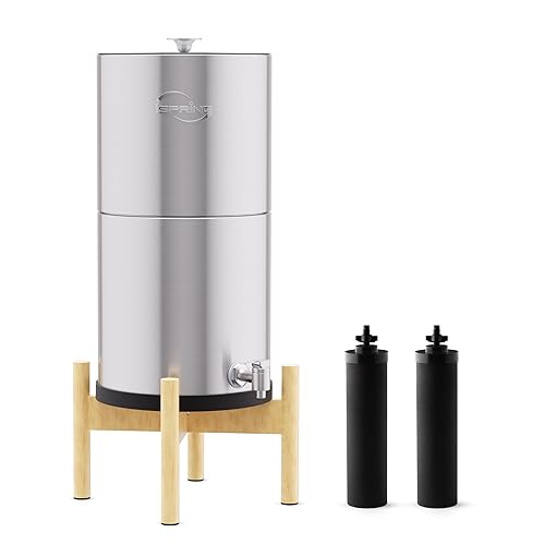 iSpring DGF2-NW Gravity-Fed Stainless Steel Countertop Water Filter System with Natural Wood Base,with 2 Activated Carbon Water Filters,Chlorine