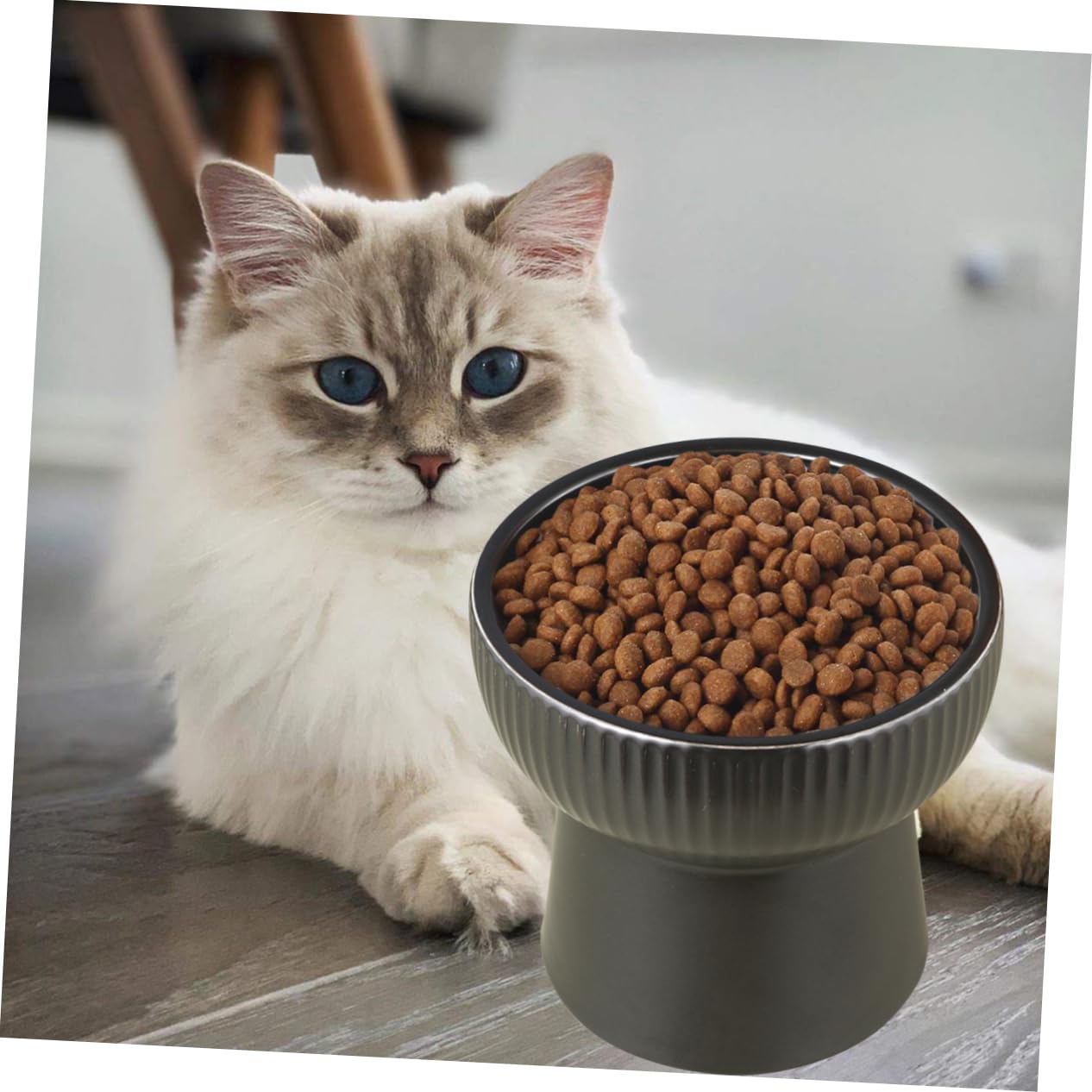 Balacoo Dog Elevated Food Bowl Pet Feeding Container Cat Kitten Serving Utensils Ceramic Bowl