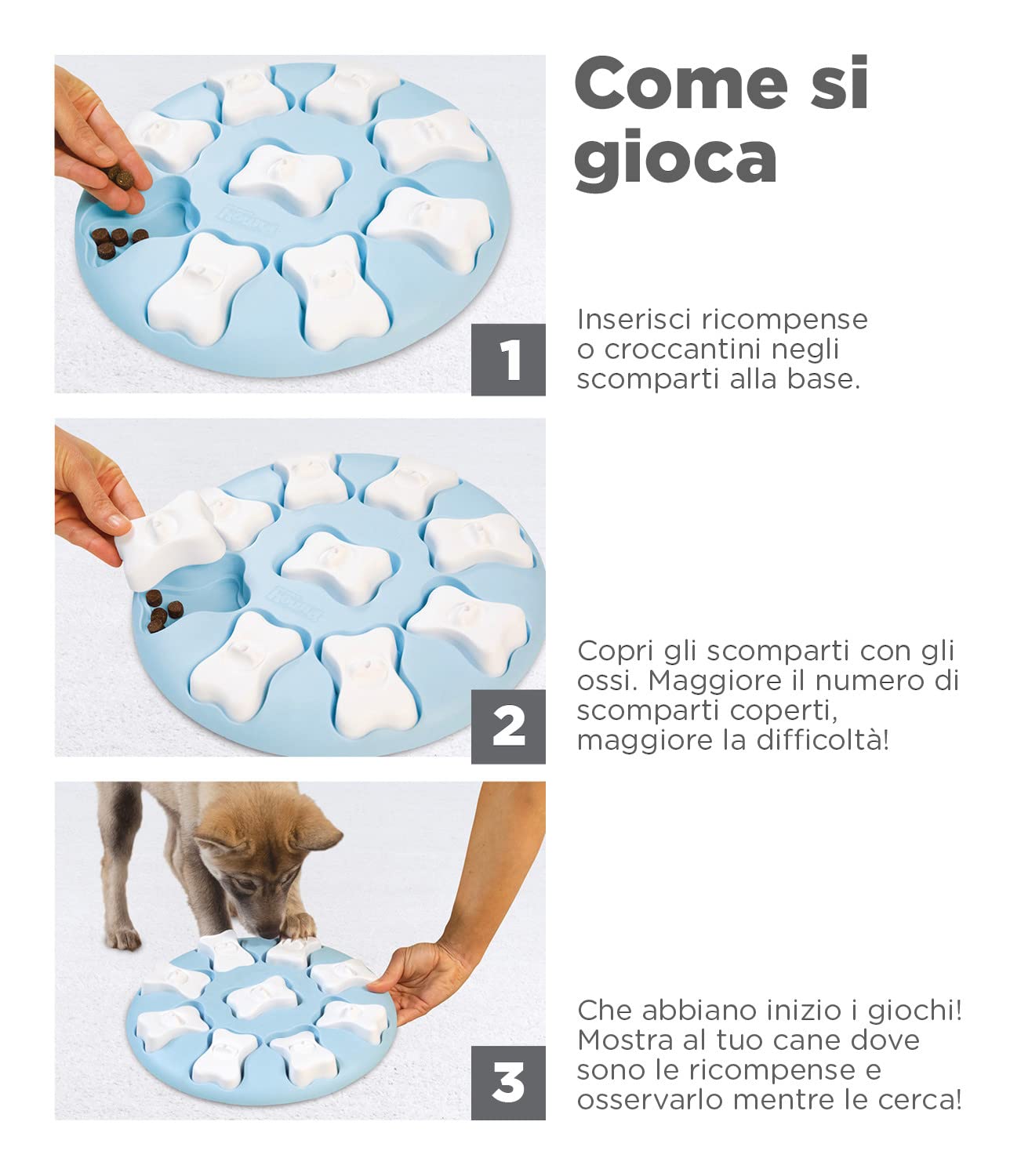 Nina Ottosson di Outward Hound Puppy Smart - Gioco interattivo per cani - rompicapo con ricompense - blu