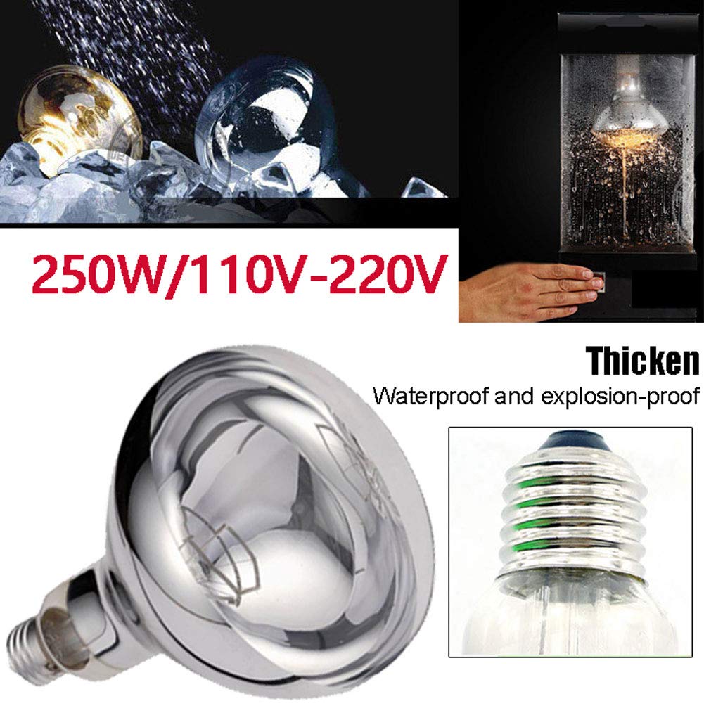 Komercyjna lampa grzewcza do podgrzewania żywności Lampa izolacyjna do pizzy, mięsa i frytek - nie wysusza żywności 110 V-250 W (z żarówką grzewczą) (D) (C)