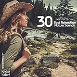 Wood Fire Sound Around Tent