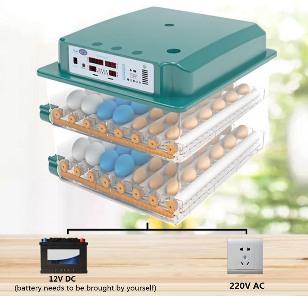 Incubadora automática de huevos con control de temperatura y humedad para pollos, pavos y codornices