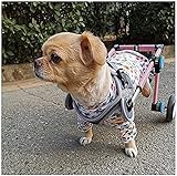 Aprobado por un veterinario, para perros con actividad limitada o nula en las patas traseras. Elija la silla de ruedas del tamaño adecuado para su mascota de acuerdo con la tabla de tallas de la imagen. [Nota]: Si tiene alguna pregunta, no dude en contactarnos.
