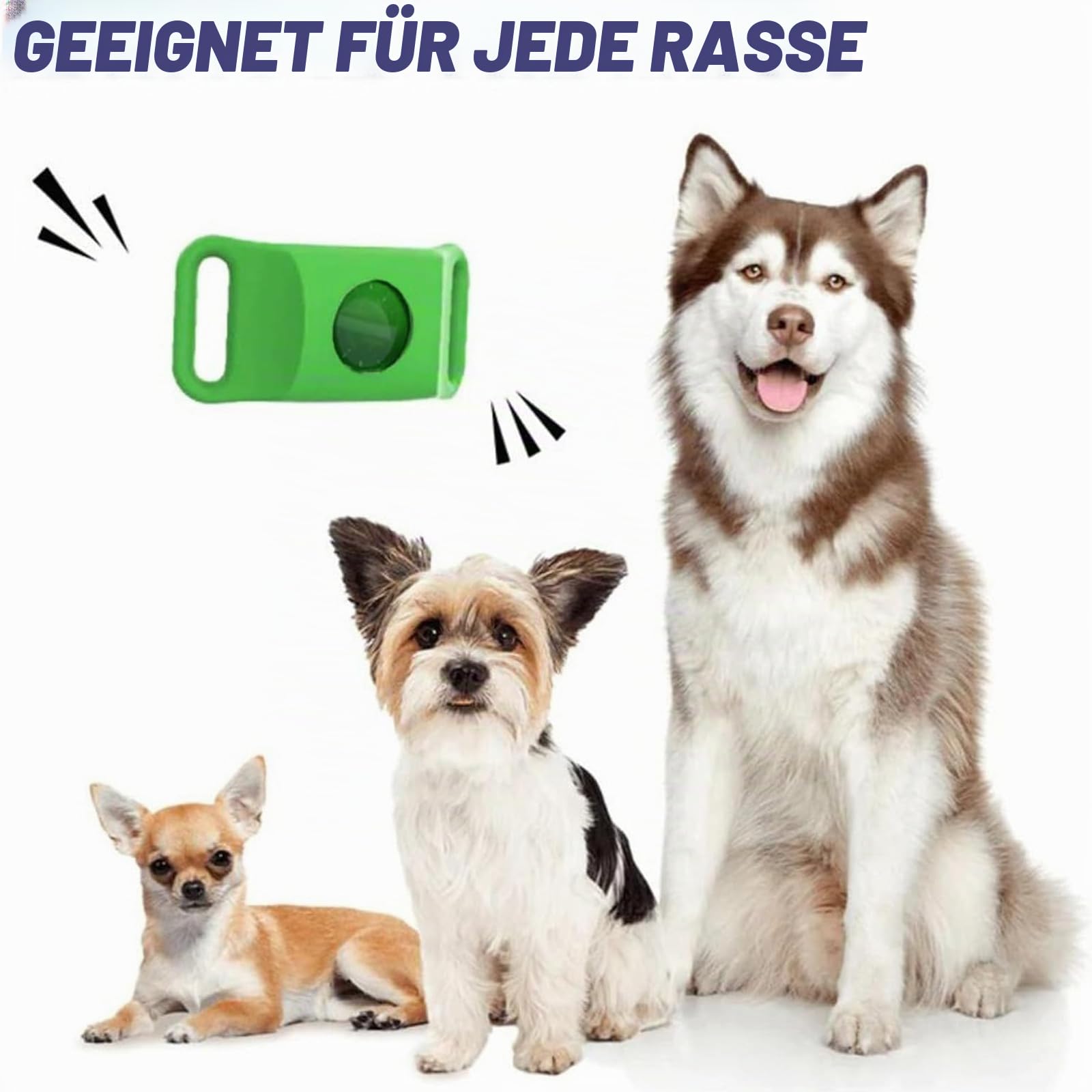Natürliches Floh- & Zeckenhalsband mit Repellent-Anhängern für Hunde, 2 St.