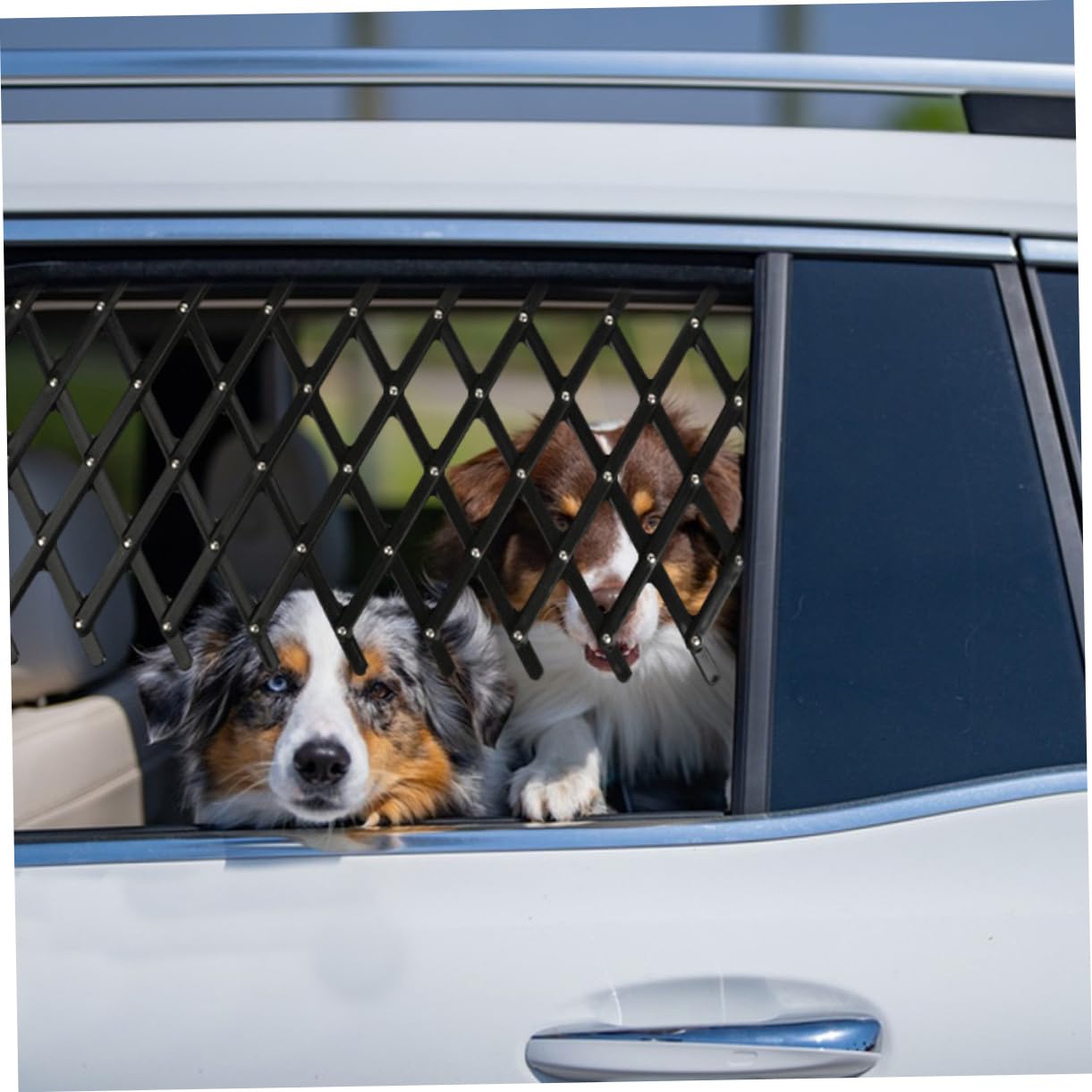 HANABASS 2 Barriera Retrattile per Auto per Animali Recinto Protettivo Portatile in PP e Facile da Conservare Adatta per Protezione e Ventilazione