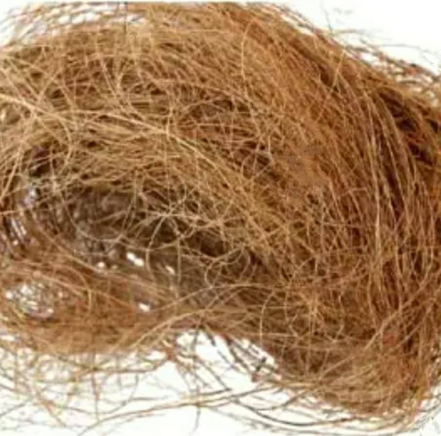 Nature World Premium Coco Moss Fiber for Plants Born Animals Pets Birds and Bed Sofa CHAIRREPAIR (B0BH8DP3WS) Amazon Price History, Amazon Price Tracker