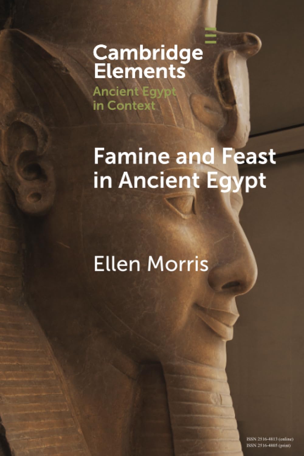 Famine and Feast in Ancient Egypt (Elements in Ancient Egypt in Context)