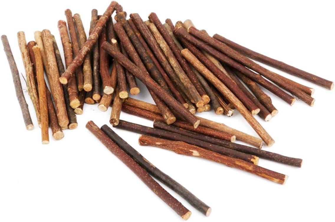 Pine stick. Палочки из березы. Creepi sticks in the wood. Палка дерева фото. Палочка из яблоневого дерева.