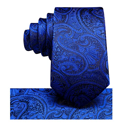 Hi-Tie Royal Blue Paisley Boy's Neckties Classic Woven Silk Tie For 8 To 14 Years Old Formal Wedding Graduation #TOP4