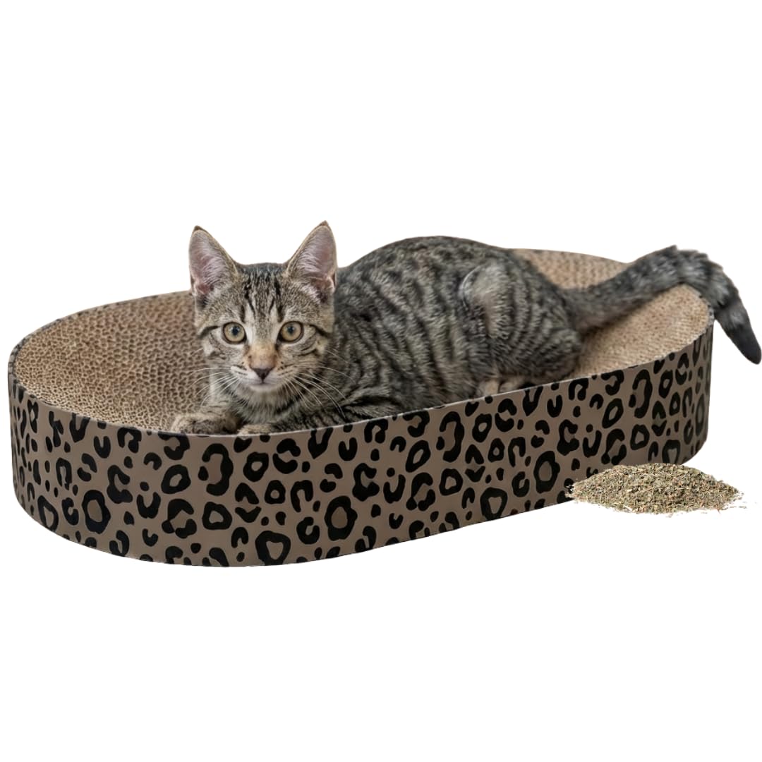 TRIXIE Scratching Board Leo Made Of Cardboard, 63 × 10 × 35 Cm, Scratching Toy With Catnip - 48035