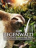  Der Regenwald: Der letzte Schatz der Erde