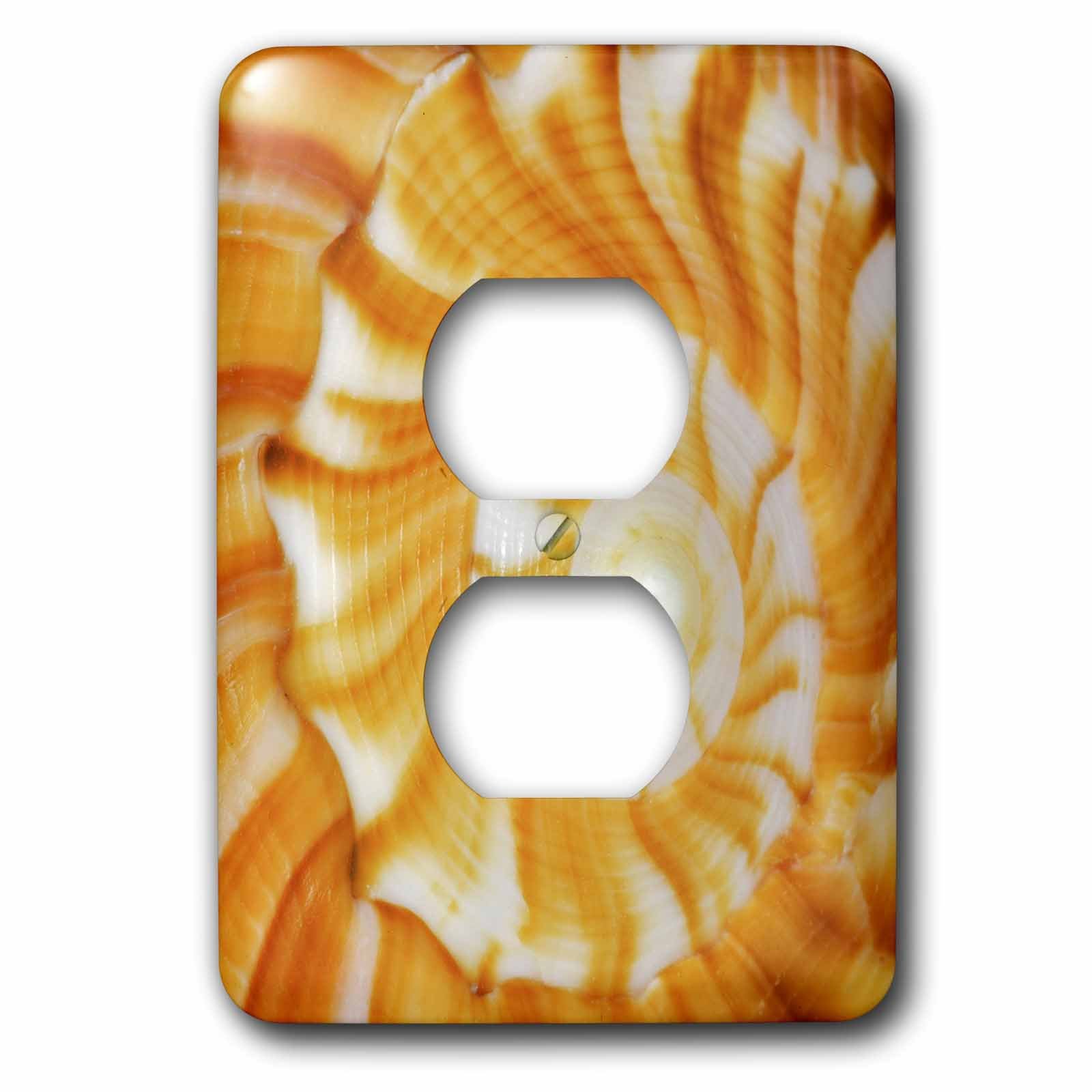 Bouchon de prise double motif spirale naturelle coquillage Floride 3dRose