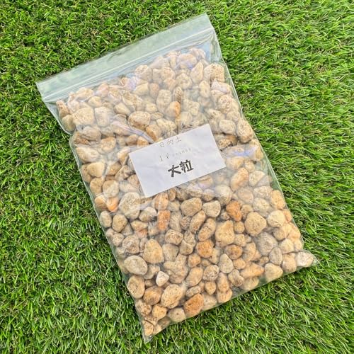 y 1bg ς y P̗py p |py  ϗtA (y() 嗱(1L))