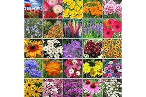Dirt Goddess Super Seeds Northeast Wildflower Seed Mix (1 Lb)