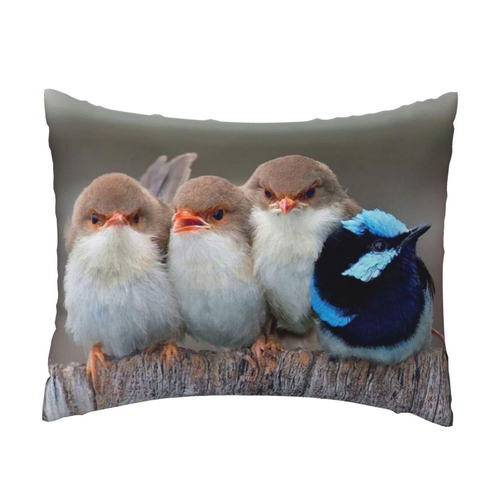 GSGCSBYMLG Four Birds printed Pillow Case 20x26in Cushion Cover