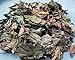 Daun Jarak Pagar - Jatropha curcas leaf Dried Leaf (80 Gram)