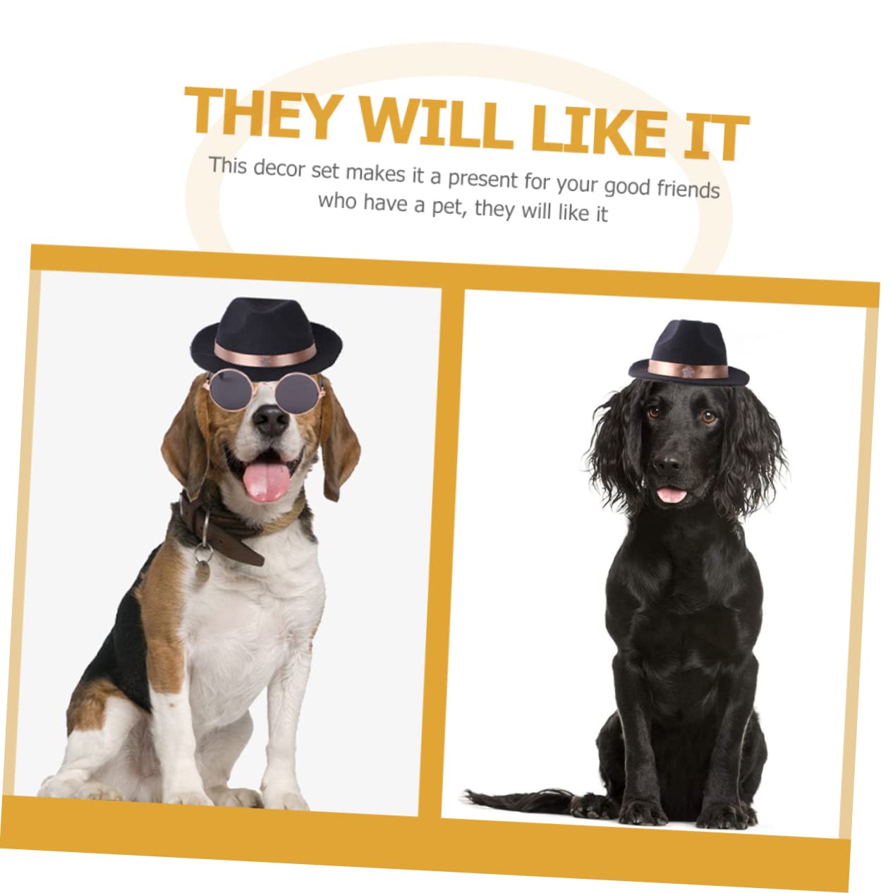 SUPVOX 5 Ensembles Chapeau d'halloween Accessoires D'habillage pour Animaux De Compagnie Bandana pour Chien Accessoires d'halloween Lunettes De Chien Casquette pour Polyester