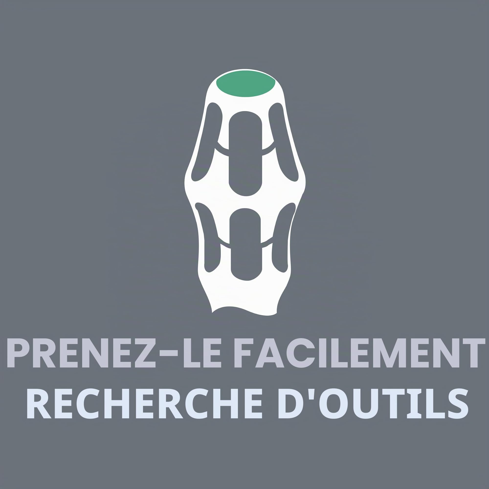 Wera 05150101001 Insert en mousse 9710, jeu de tournevis 1, 18 pièces Noir-vert