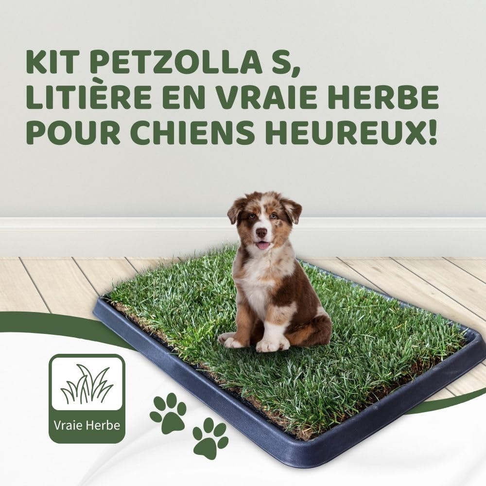 Petzolla Bac à litière écologique de vrai gazon original