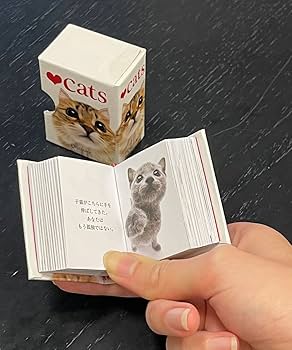 ❤️cats n horse’s ❤️追加分① cats 手のひらサイズのギフトブックシリーズ (A HELEN EXLEY
