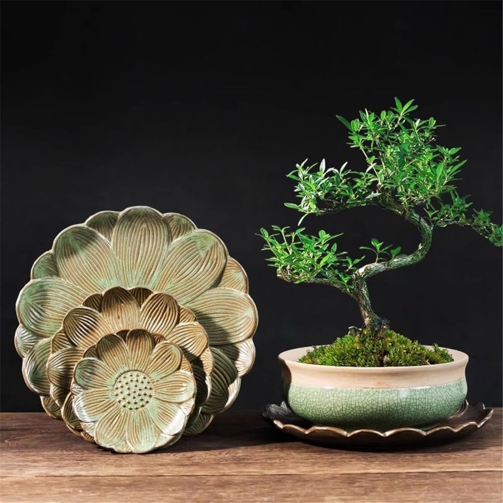 Versatile Sottovaso in Ceramica for Vaso for Piante for Il Giardino del Balcone di casa(Grande)