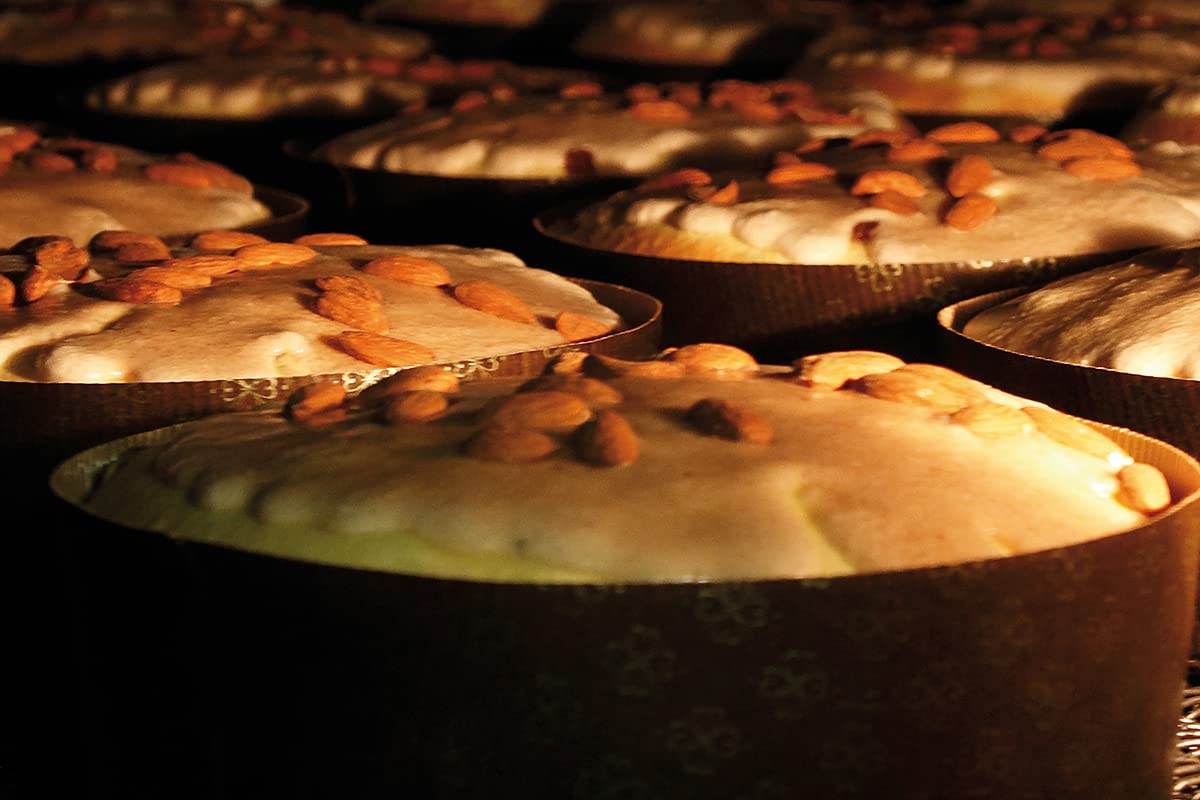 GILBER, Panettone Classico Piemontese, Basso con Uvetta e Canditi e Glassa, 1kg, ricetta Tradizionale, Made in Italy, Confezione Regalo Astuccio in Cartone, panettoni artigianali Torino