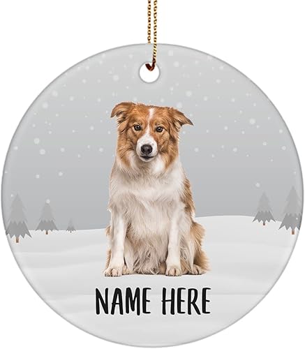 Adorno de árbol de Navidad rojo con nombre personalizado, diseño de Border Collie, decoración de cerámica, regalos para mamá de perro