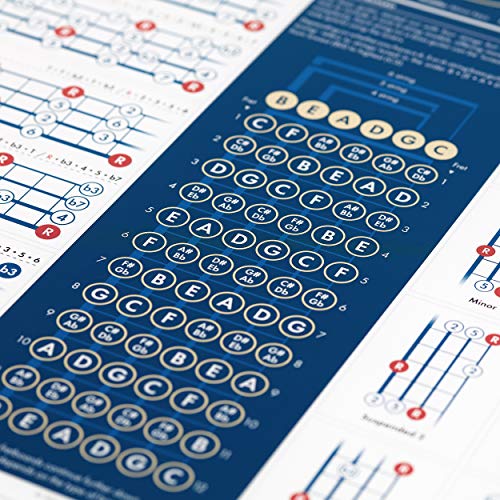 Leer basgitaar, muziektheorie & muziekcompositie met onze volledig geïllustreerde Modes, Toonladders & Theoriekaart… - Image 8
