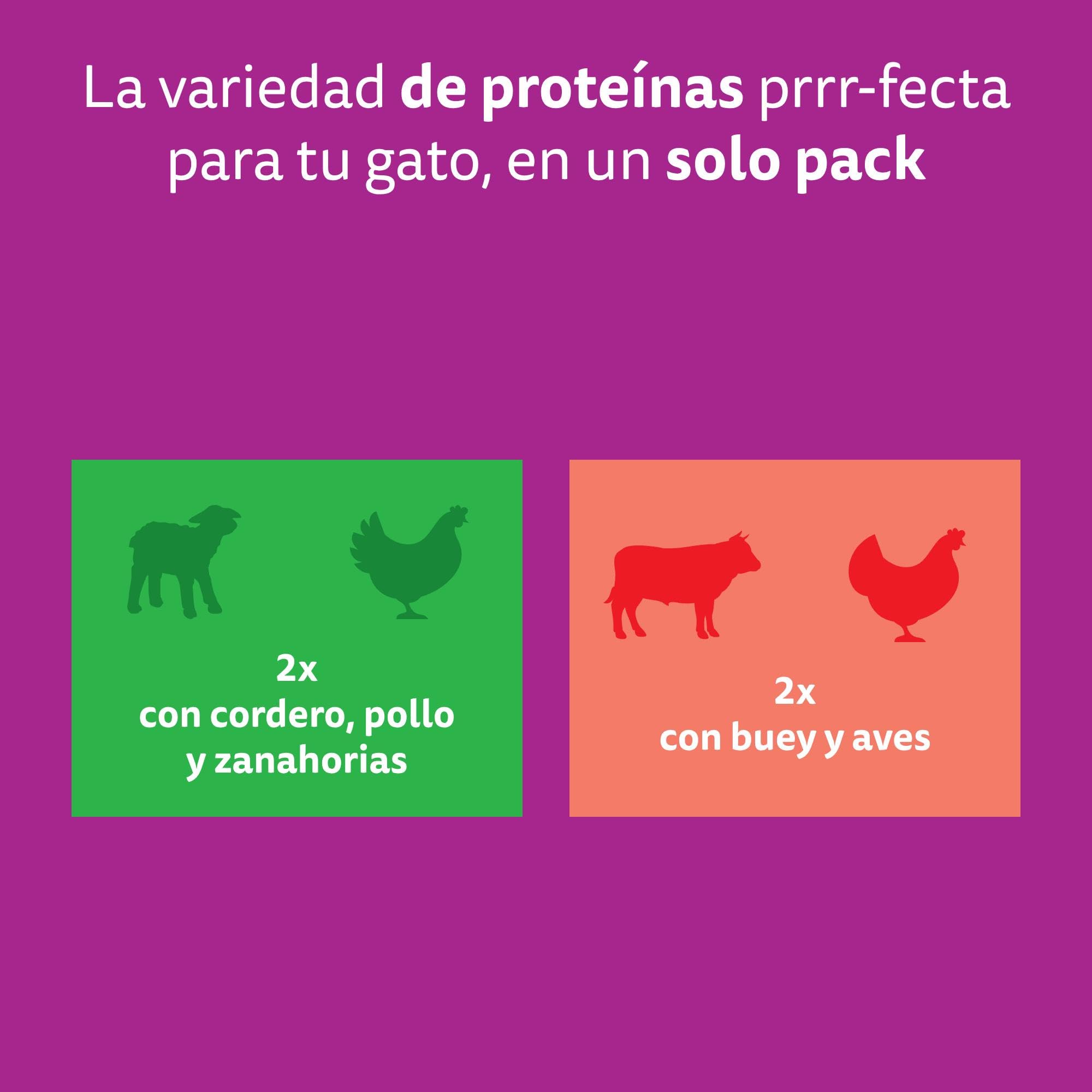WHISKAS Tasty Mix Comida húmeda en Salsa Gatos Adultos Col. Country - 13 x 4 bolsitas x 85g