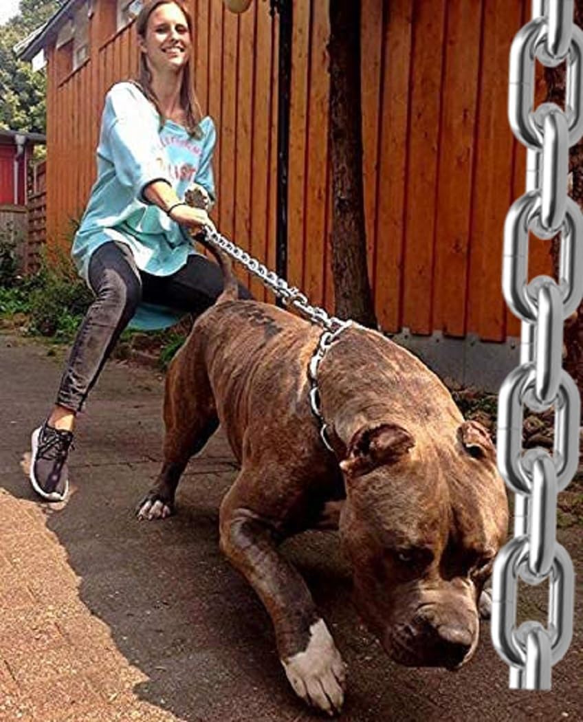 FunMart Unbreakable Dog Chain: Strong and Reliable Pet Leash for Ultimate Safety (5 feet Length, (152.4 cm) (B0984PDD55) Amazon Price History, Amazon Price Tracker