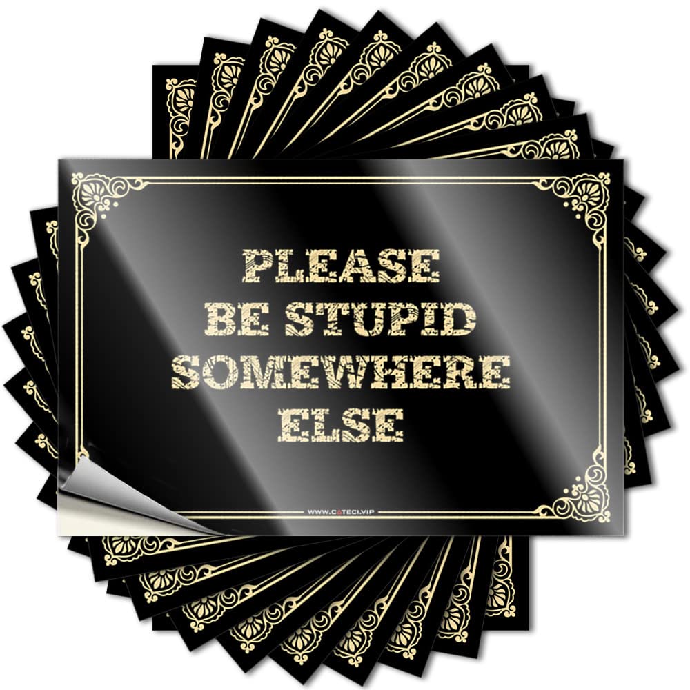 Quote Men Bedroom Decor Peel and Stick - Please Be Stupid Somewhere Else Hard Aesthetic Waterproof Vinyl for Christmas(6X9CM)