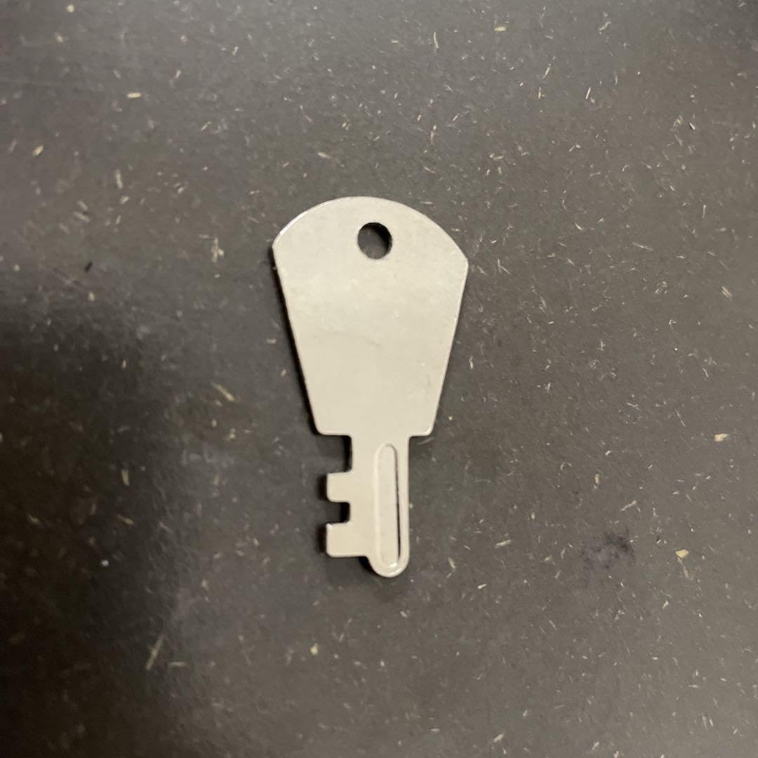 Amazon.co.jp: Taylor ギター ハードケースの鍵 : 楽器・音響機器