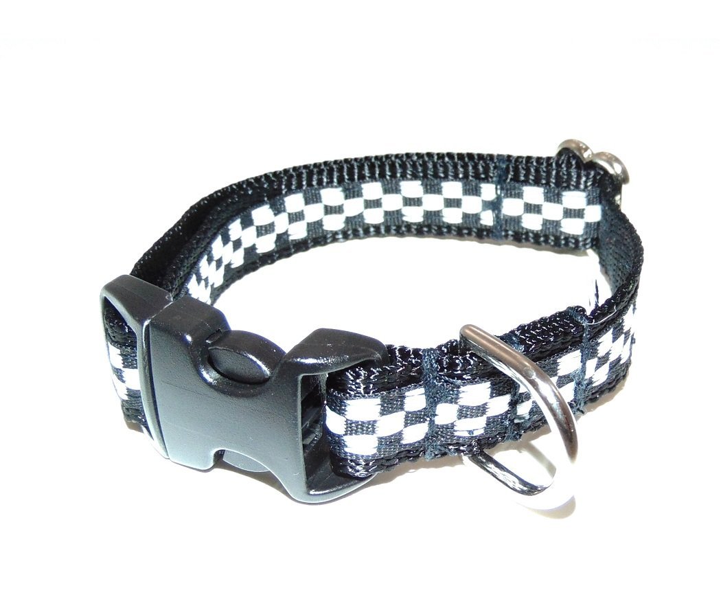 Speedway Intimidator Dog Collar (SM-5/8"X8"-14")