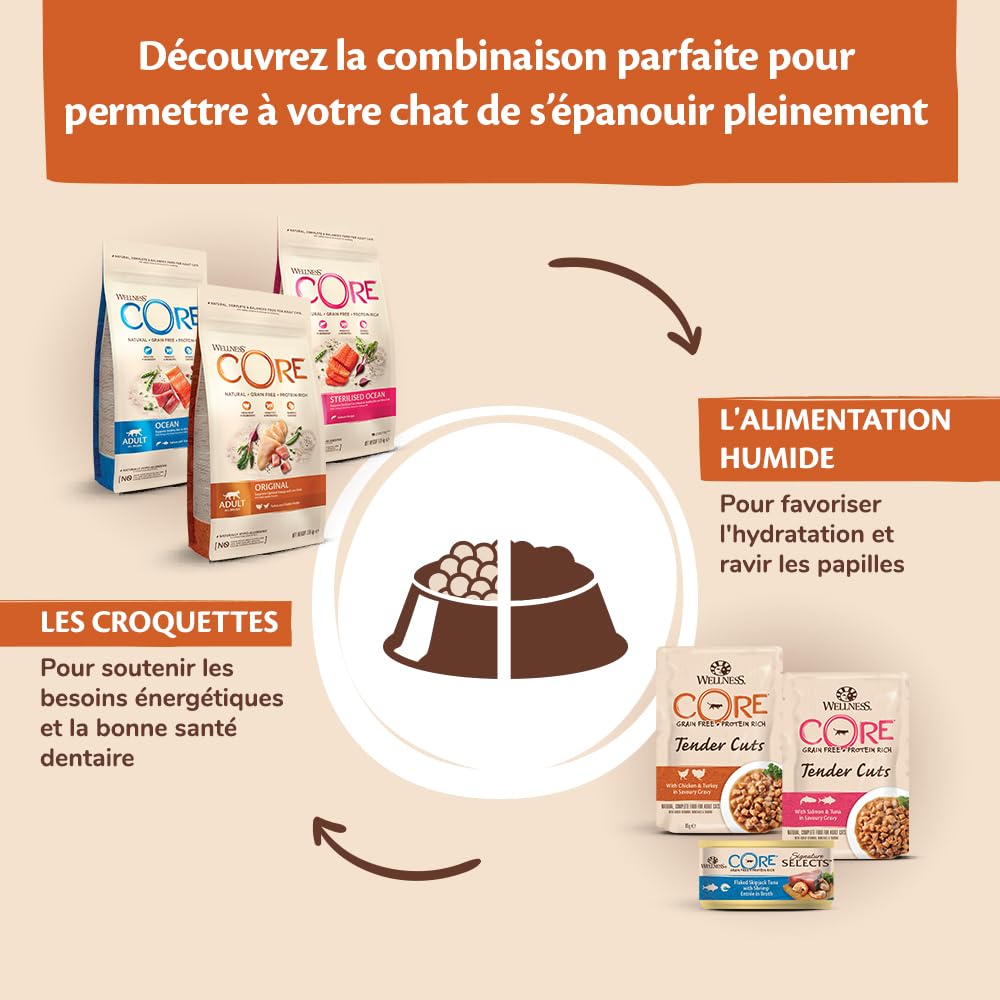 WELLNESS CORE Océan Stérilisé 4 kg, Saumon – Croquettes pour Chats Stérilisés, sans Céréales, Naturelles, Hypoallergénique, Riche en protéines, À Haute Teneur en Poisson, Peau Saine & Pelage Brillant