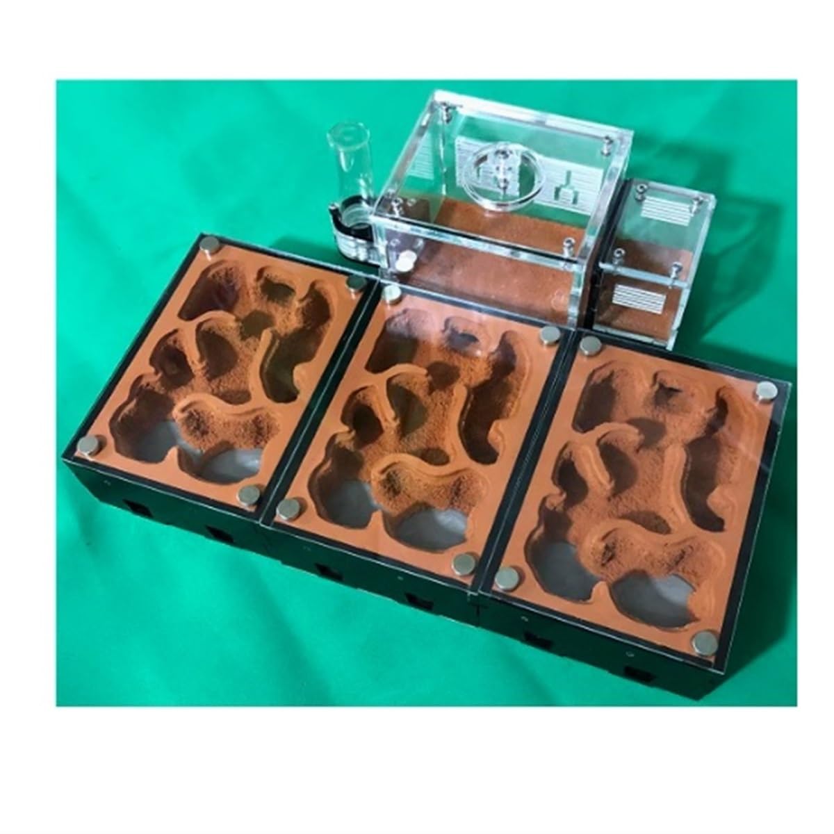 Hormiguero Taller De Aprendizaje Hormigas En Acrílico Transparente, Hormiguero Científico Hábitat Nido Formicario(23.8 * 9 * 9cm)