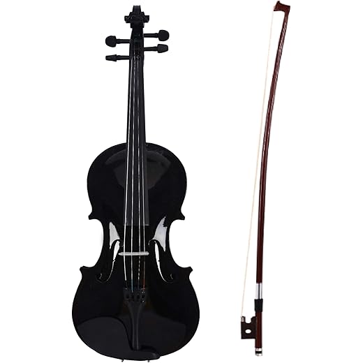 ARCTIC Onyx Violin for Beginners with Hard Case