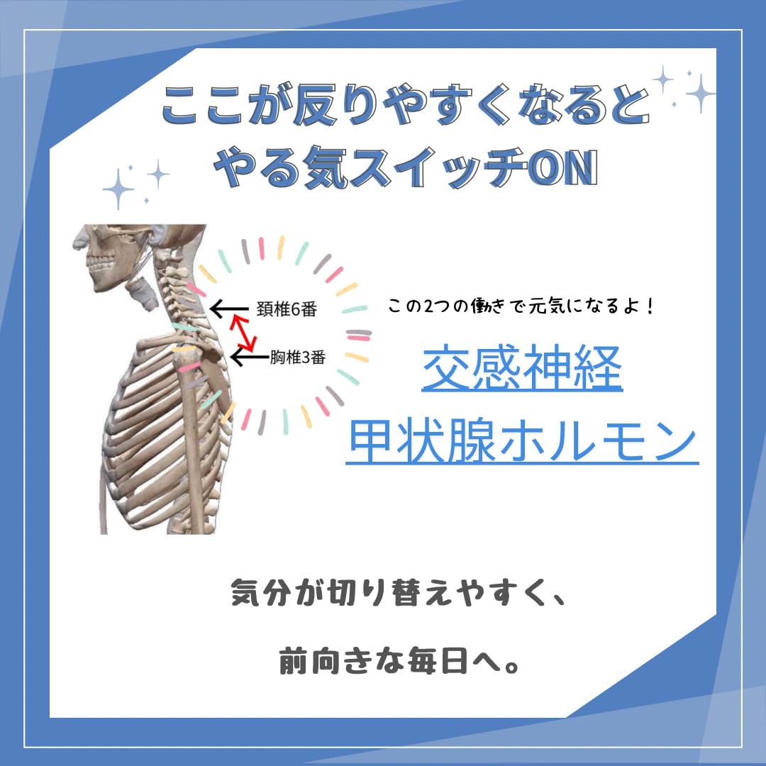 Amazon｜【首専門整体院監修】やる気まくら 首ストレッチ枕 仮眠・昼