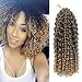 Befunny 6bundles/lot 12" Jerry Curl Ombre Marley Crochet Hair Deep Curly Marlybob Crochet Twists Shoulder Length Crochet Braids Synthetic Braiding Human Hair Extensions For Black Women Ombre T1B/27