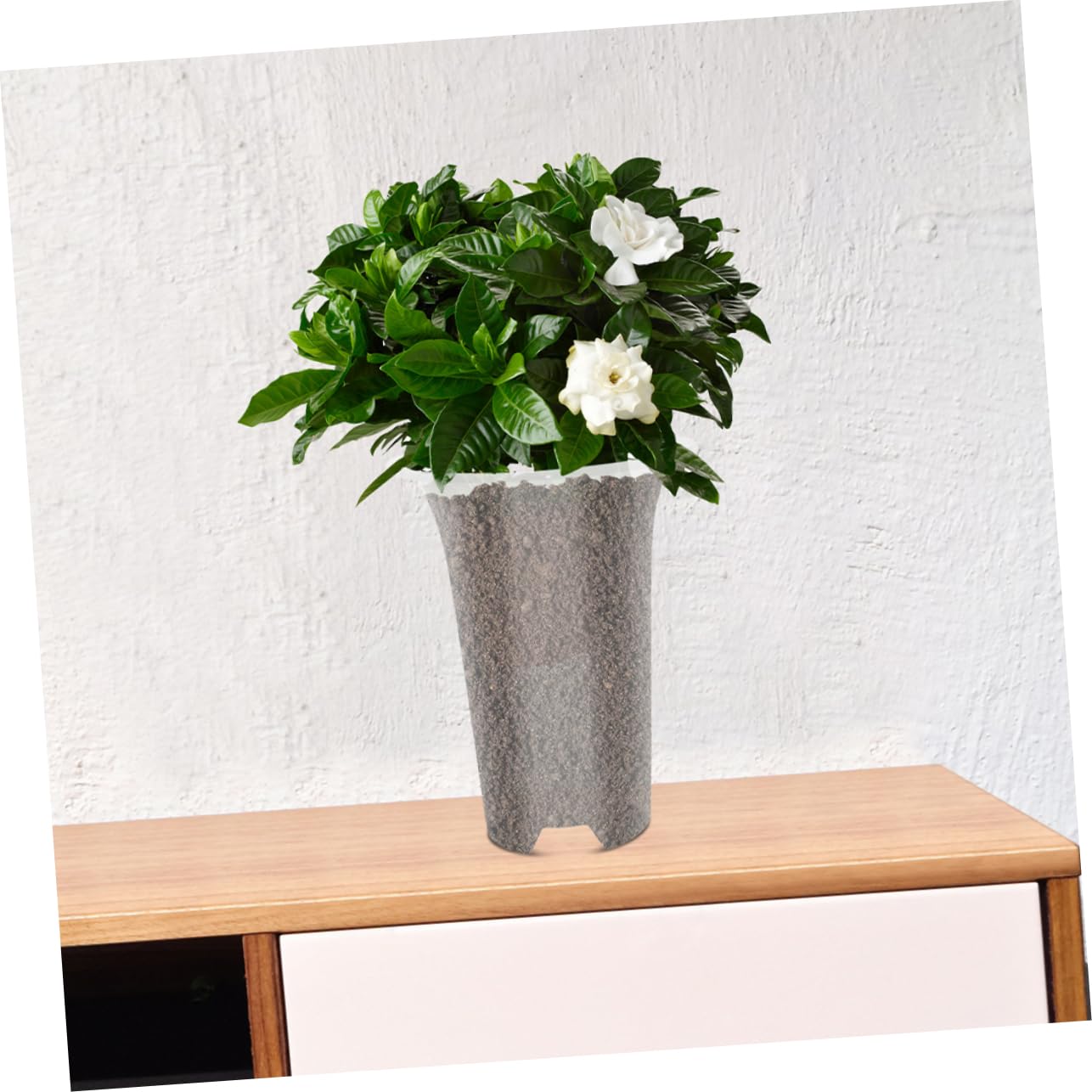 Pots D’orchidées en Plastique Blanc 8 Pièces, Pots de Pépinière